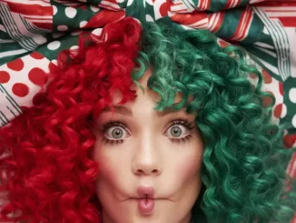 Sia-3-Minutes-Til-New-Years-1.jpg